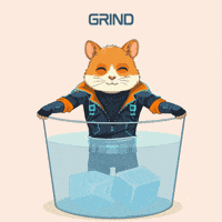 Locked In Motivation GIF by Hamieverse