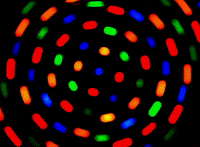 Burst Generator GIF by The Chemical Brothers