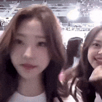 Stella GIF