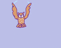 Bring It On Fight GIF