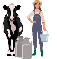 momo_001 milk cow farm agri Sticker