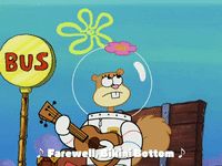 season 4 episode 10 GIF by SpongeBob SquarePants