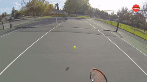 Tennis Court GIF by BuzzFeed