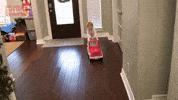 Playing New Toy GIF by TLC Europe
