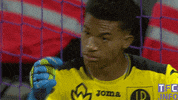 ligue 1 soccer GIF by Toulouse Football Club