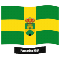 Bandera Andalucia Sticker by Formación Ninja