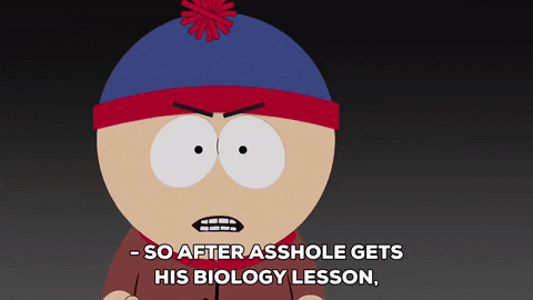 stan marsh zipline GIF by South Park 