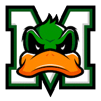 Ice Hockey Melbourne Sticker by icehq