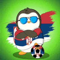 World Cup Football GIF by Pudgy Penguins