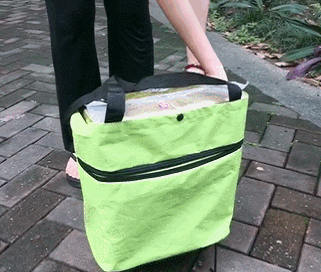 polonaluna giphyupload GIF