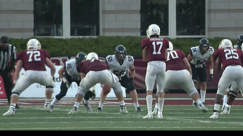 Football Touchdown GIF by Lafayette Leopards