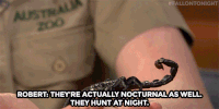 Jimmy Fallon Scorpion GIF by The Tonight Show Starring Jimmy Fallon