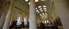college students GIF by Harvard University