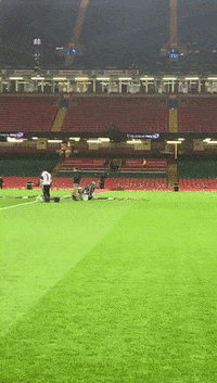 GIF by PRO14Official