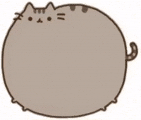 Cat Syma GIF