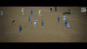 muriel GIF by nss sports