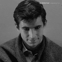 GIF by Arrow Video