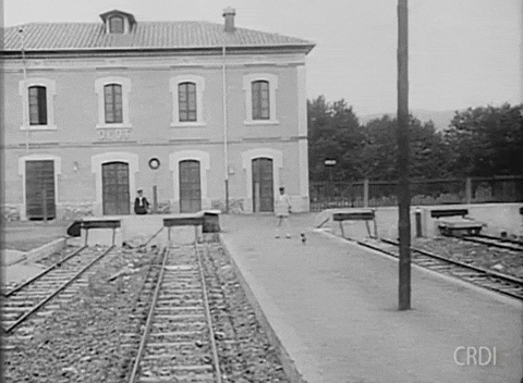 Train Station GIF by CRDI. Ajuntament de Girona