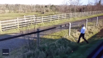 'Only in Ireland': Bus Driver Stops to Feed Hungry Horse