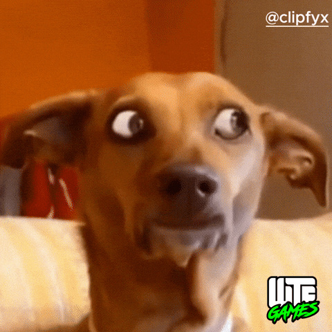 Shocked Dog GIF by WTF Leagues