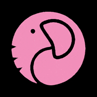 pinkelephantnz pinkelephantnz GIF