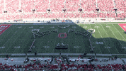 College Football GIF by tbdbitl