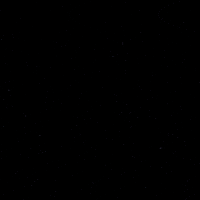 Hockey Eisbaeren GIF by Eisbären Berlin