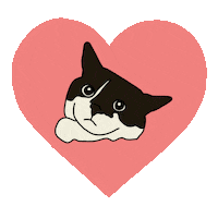 Tuxedo Cat Love Sticker