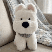 Say Hi Clubhouse GIF