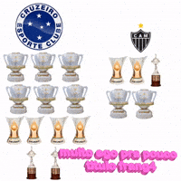 Cruzeiro Esporte Clube GIF