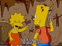 Lisa Simpson GIF by The Simpsons