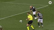 Melbourne Victory Win GIF by Football Australia