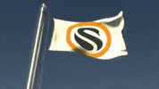 swanbitcoin crypto bitcoin ethereum finance GIF