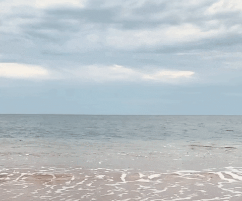 Beach Skimboard GIF by Hala Kahiki Boarding Co.