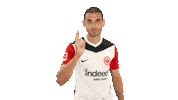 Eintracht Frankfurt Cheering Sticker by Bundesliga