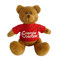 Hottgenroth bear energy toy teddy Sticker