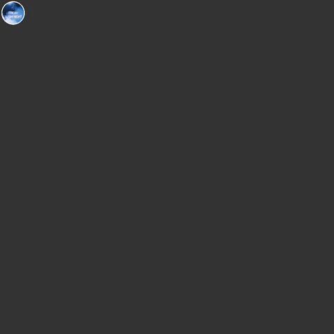 Thesushibar giphyupload GIF