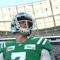 Canadian Football GIF