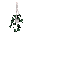 Plant Hanging Sticker
