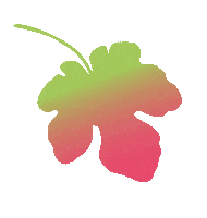 Tv Show Love Sticker by RTLZWEI