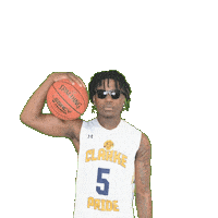 Mens Basketball Sticker by Clarke University