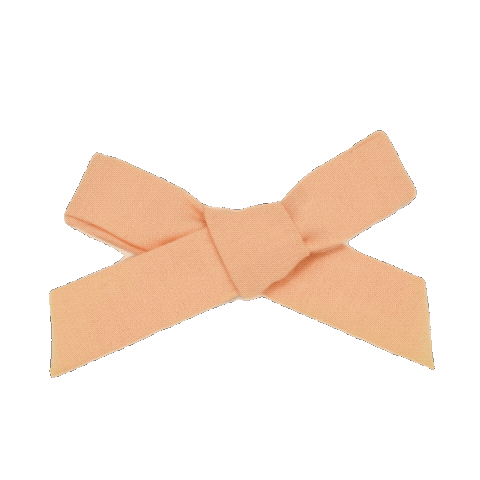 Theitsybitsybowco giphyupload bow georgia peach Sticker