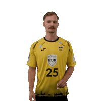 Handball Coburg Sticker by DAIKIN HBL