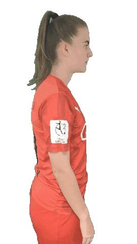 schanzerinnen giphyupload frauenfussball nichtohnemeinemädels schanzerinnen Sticker