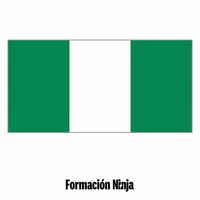 Flag Pixel Art GIF by Formación Ninja