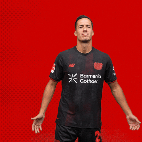 Lets Go Bundesliga GIF by Bayer 04 Leverkusen