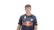 Football Sport Sticker by FC Red Bull Salzburg
