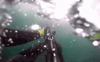 GIF by Mashable