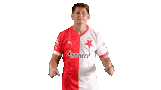 Football Soccer Sticker by SK Slavia Praha
