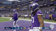 Minnesota Vikings Football GIF by NFL